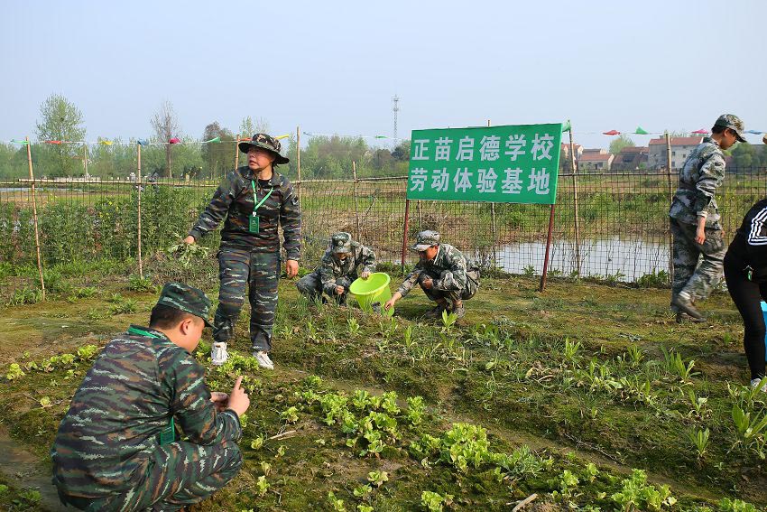教学方案(图19)