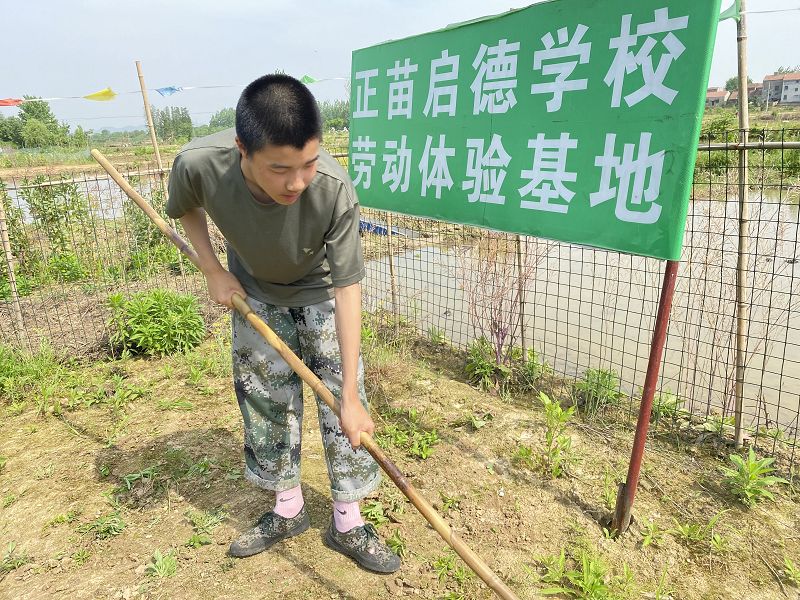 成为不良少年的主要原因有哪些？(图1)