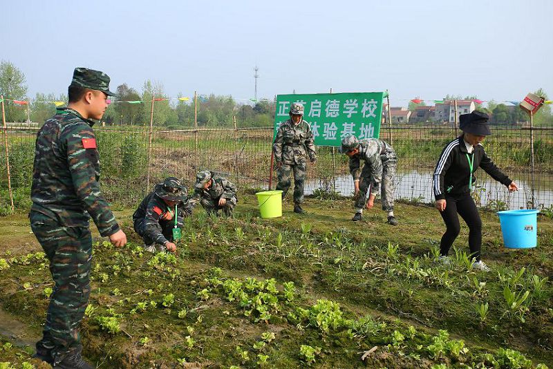 小孩叛逆期如何教育，怎样正确的引导？(图1)