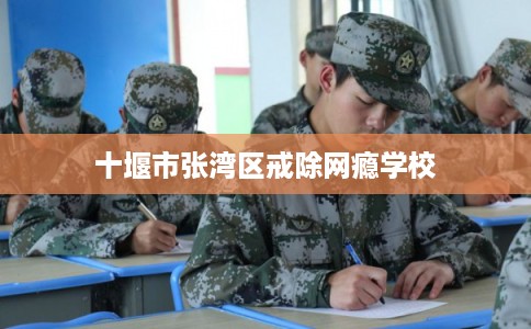 十堰市张湾区戒除网瘾学校