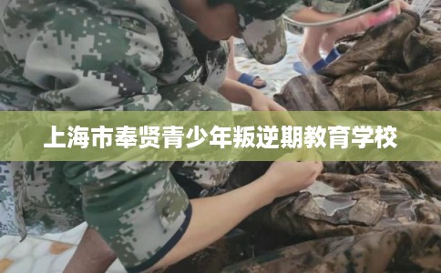 上海市奉贤青少年叛逆期教育学校