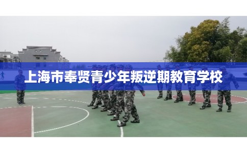 上海市奉贤青少年叛逆期教育学校