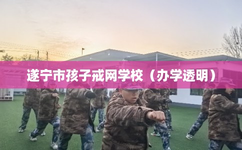 遂宁市孩子戒网学校（办学透明）