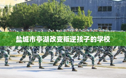 盐城市亭湖改变叛逆孩子的学校