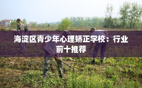 海淀区青少年心理矫正学校：行业前十推荐