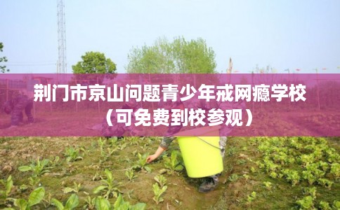 荆门市京山问题青少年戒网瘾学校（可免费到校参观）