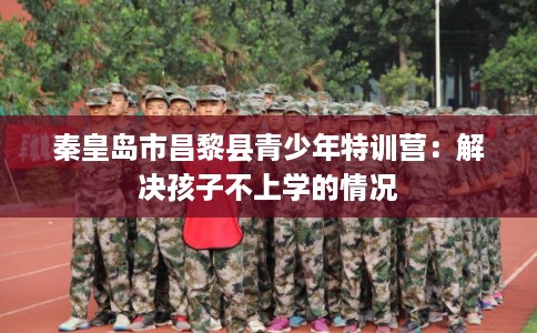 秦皇岛市昌黎县青少年特训营：解决孩子不上学的情况