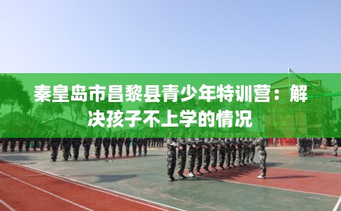 秦皇岛市昌黎县青少年特训营：解决孩子不上学的情况
