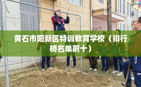 黄石市阳新区特训教育学校（排行榜名单前十）