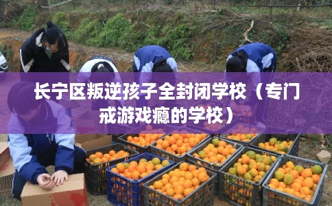 长宁区叛逆孩子全封闭学校（专门戒游戏瘾的学校）