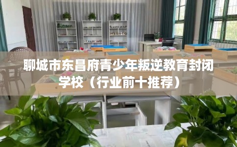 聊城市东昌府青少年叛逆教育封闭学校（行业前十推荐）