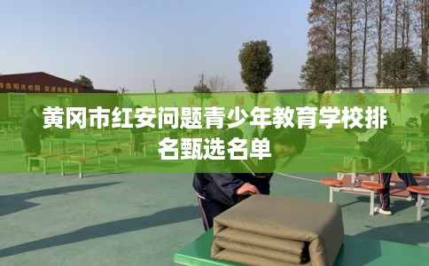 黄冈市红安问题青少年教育学校排名甄选名单