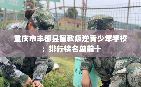 重庆市丰都县管教叛逆青少年学校：排行榜名单前十