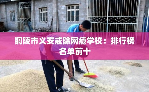 铜陵市义安戒除网瘾学校：排行榜名单前十