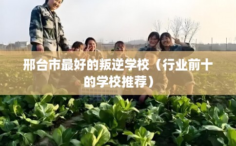 邢台市最好的叛逆学校（行业前十的学校推荐）