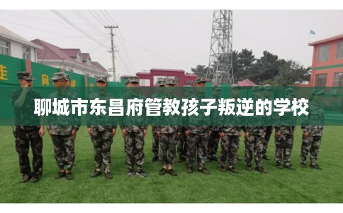 聊城市东昌府管教孩子叛逆的学校