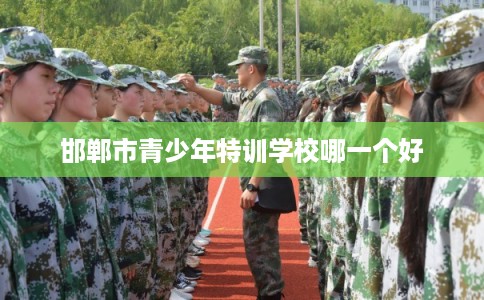 邯郸市青少年特训学校哪一个好