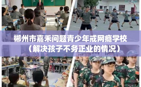 郴州市嘉禾问题青少年戒网瘾学校（解决孩子不务正业的情况）