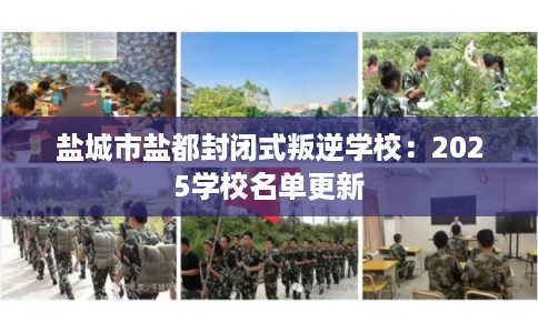 盐城市盐都封闭式叛逆学校：2025学校名单更新