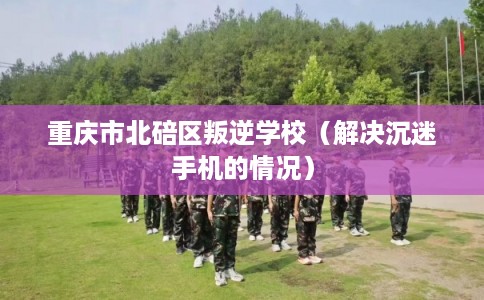 重庆市北碚区叛逆学校（解决沉迷手机的情况）