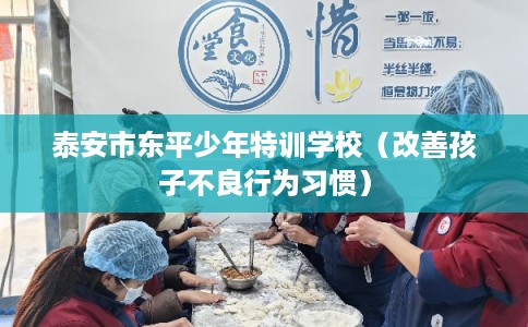 泰安市东平少年特训学校（改善孩子不良行为习惯）