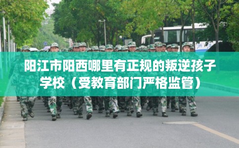 阳江市阳西哪里有正规的叛逆孩子学校（受教育部门严格监管）