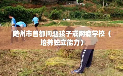 随州市曾都问题孩子戒网瘾学校（培养独立能力）