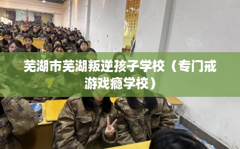 芜湖市芜湖叛逆孩子学校（专门戒游戏瘾学校）