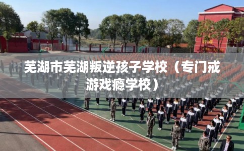 芜湖市芜湖叛逆孩子学校（专门戒游戏瘾学校）