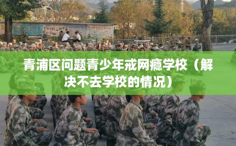 青浦区问题青少年戒网瘾学校（解决不去学校的情况）