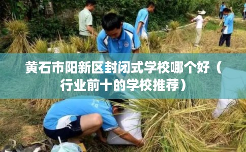 黄石市阳新区封闭式学校哪个好（行业前十的学校推荐）
