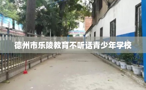 德州市乐陵教育不听话青少年学校