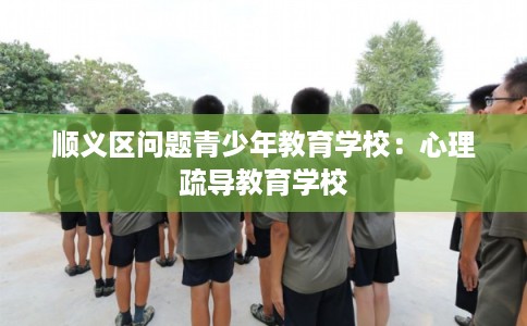 顺义区问题青少年教育学校：心理疏导教育学校