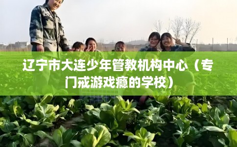 辽宁市大连少年管教机构中心（专门戒游戏瘾的学校）