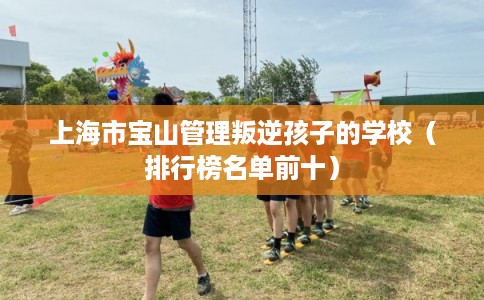 上海市宝山管理叛逆孩子的学校（排行榜名单前十）