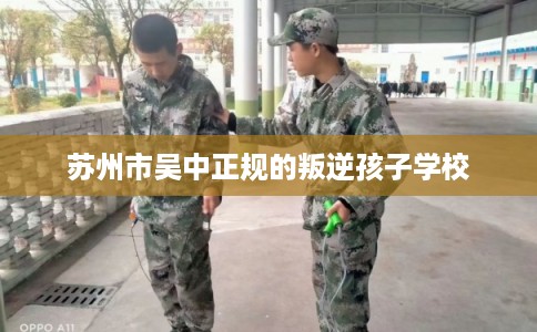 苏州市吴中正规的叛逆孩子学校
