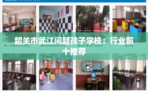 韶关市武江问题孩子学校：行业前十推荐