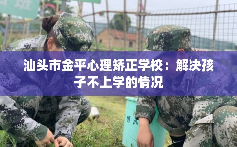 汕头市金平心理矫正学校：解决孩子不上学的情况