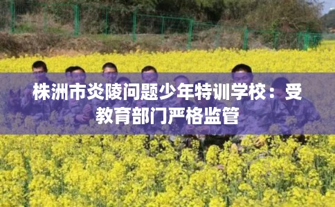 株洲市炎陵问题少年特训学校：受教育部门严格监管