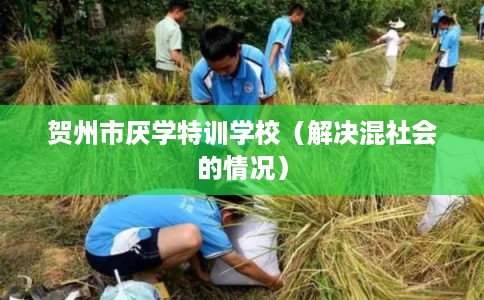 贺州市厌学特训学校（解决混社会的情况）