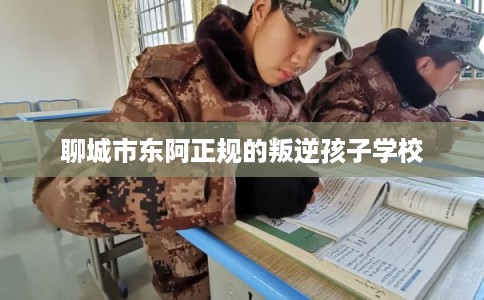 聊城市东阿正规的叛逆孩子学校