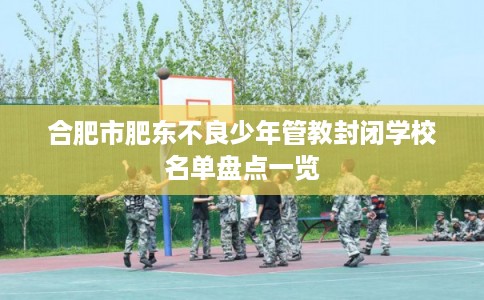 合肥市肥东不良少年管教封闭学校名单盘点一览