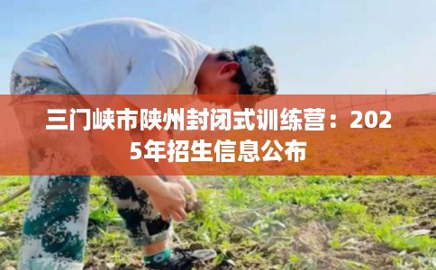 三门峡市陕州封闭式训练营：2025年招生信息公布