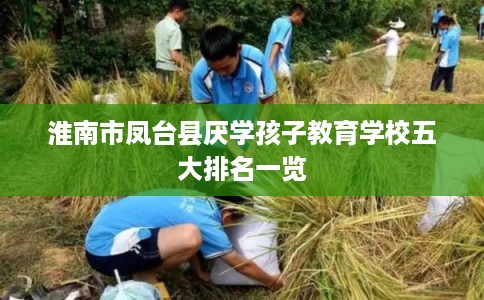 淮南市凤台县厌学孩子教育学校五大排名一览