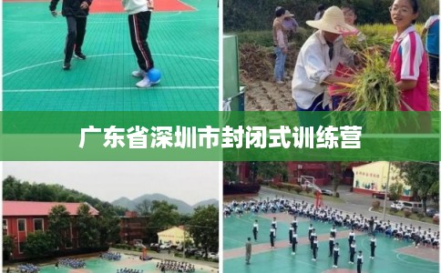 广东省深圳市封闭式训练营