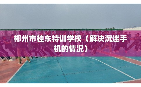 郴州市桂东特训学校（解决沉迷手机的情况）