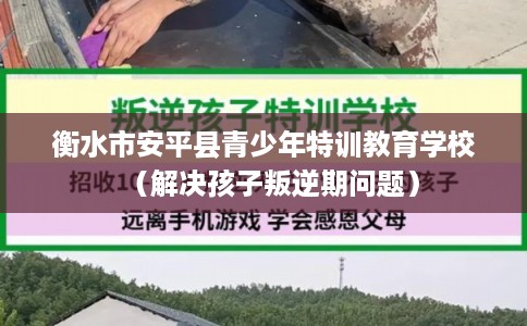 衡水市安平县青少年特训教育学校（解决孩子叛逆期问题）