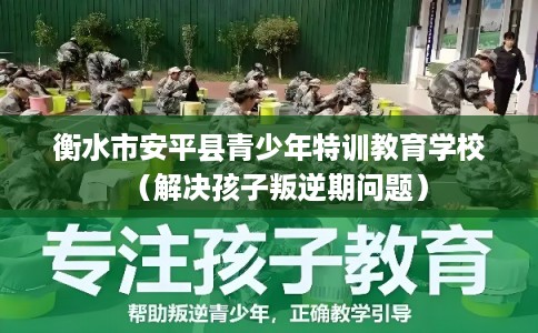 衡水市安平县青少年特训教育学校（解决孩子叛逆期问题）