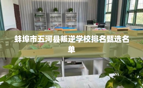蚌埠市五河县叛逆学校排名甄选名单