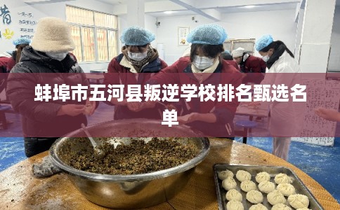 蚌埠市五河县叛逆学校排名甄选名单